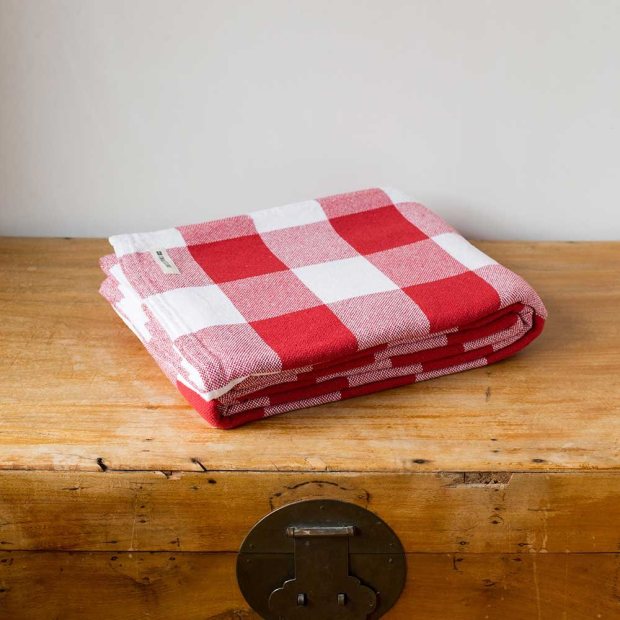 Gingham XL Check Blankets view 3